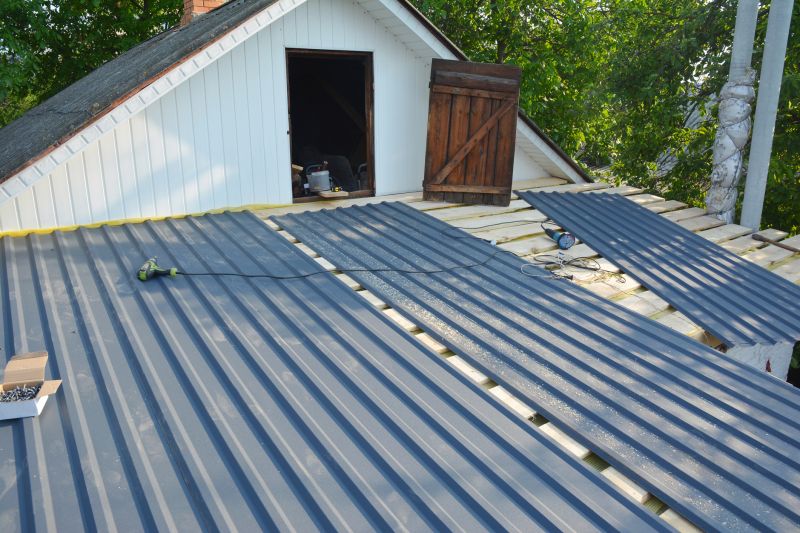 Roof Repair Project